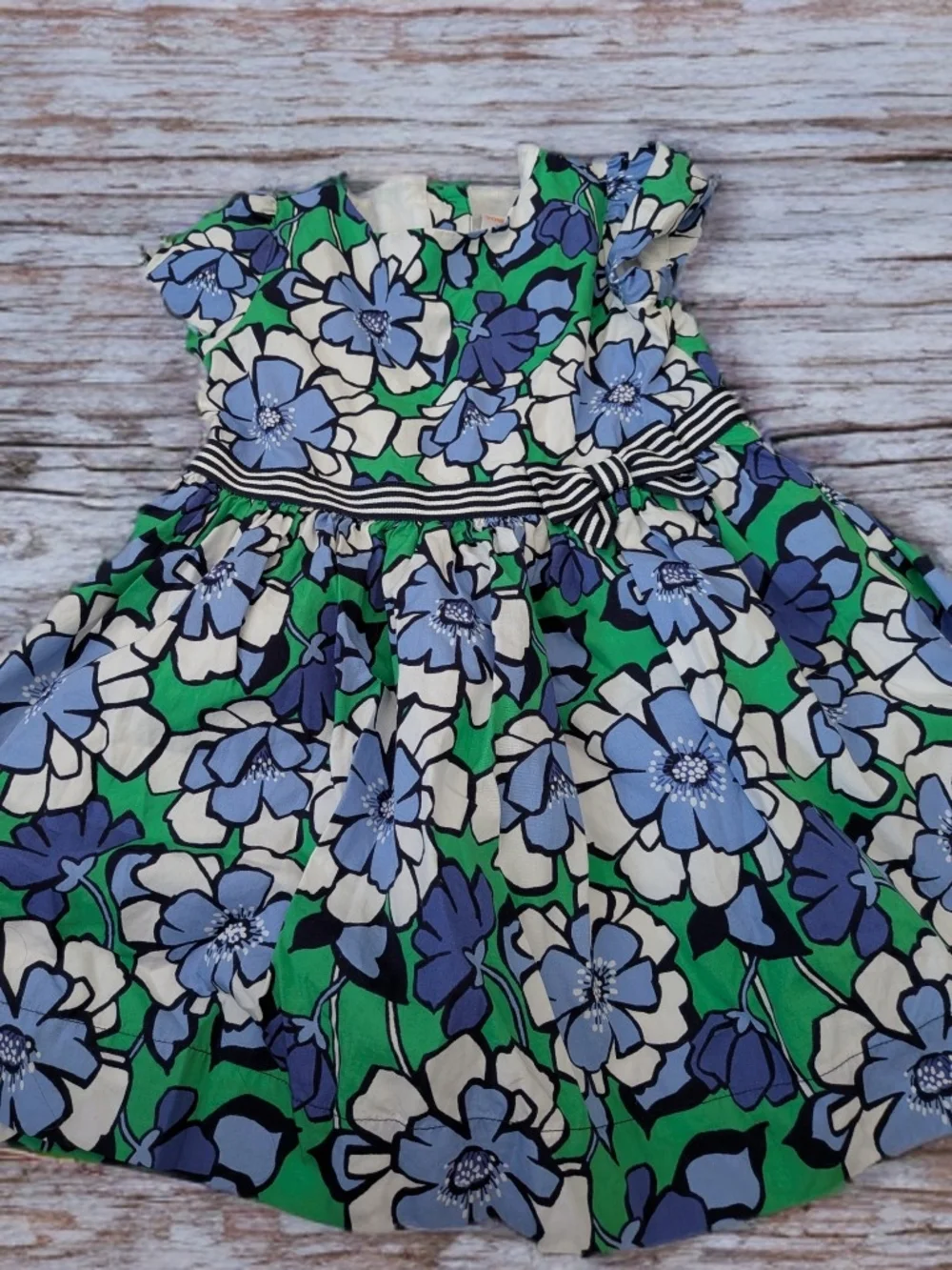 Gymboree Blue, Green & White Floral Stripe-Waist Dress